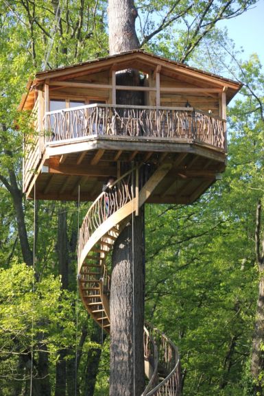 cabaña arbol 1