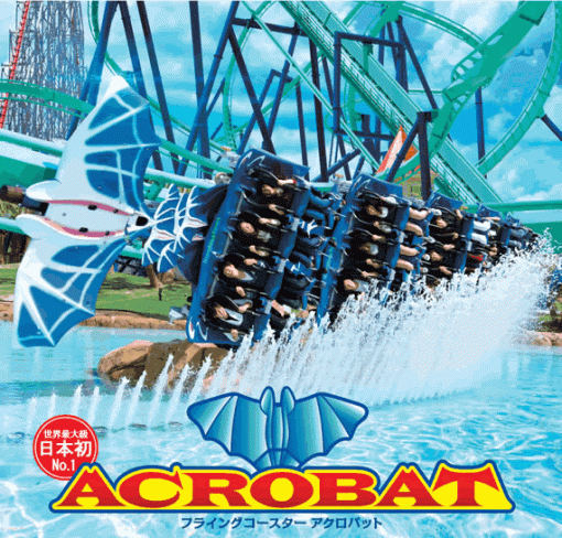 atraccion nagashima.gif