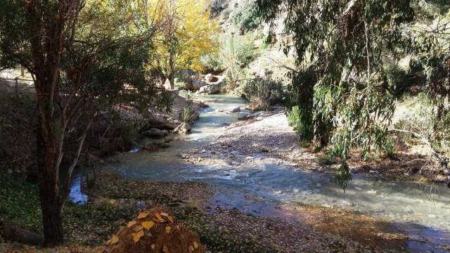 facebook_1460116399565