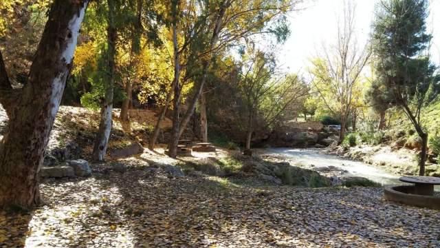 facebook_1460116435735