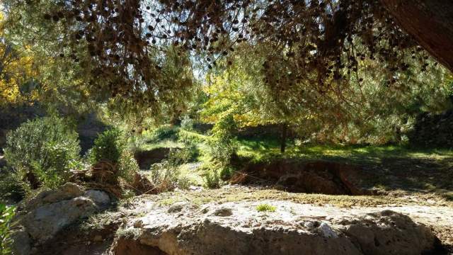 facebook_1460116481619