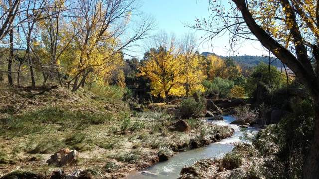 facebook_1460116508888