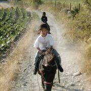 large_jason  iona 012