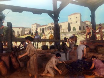 img_20170108_115423-1