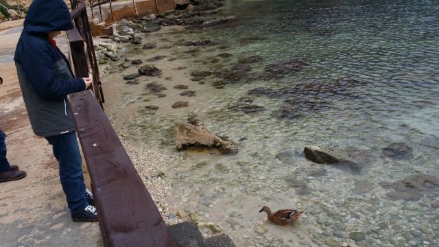 WhatsApp Image 2017-01-12 at 17.25.51 (1).jpeg