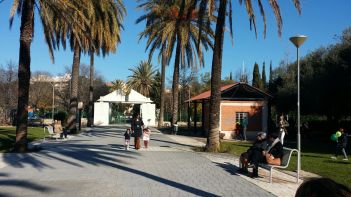 whatsapp-image-2017-01-15-at-12-31-30-4