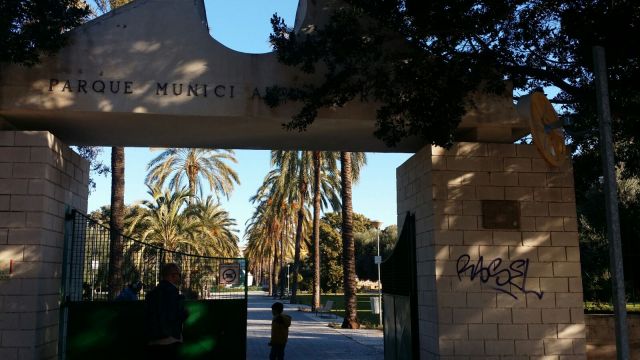 WhatsApp Image 2017-01-15 at 12.32.29.jpeg