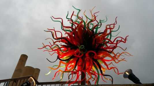 WhatsApp Image 2017-01-23 at 20.40.49 (1).jpeg