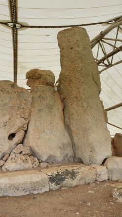 whatsapp-image-2017-02-11-at-10-34-17-1