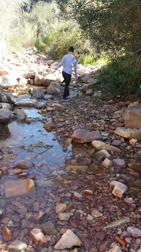 WhatsApp Image 2017-03-23 at 19.03.32