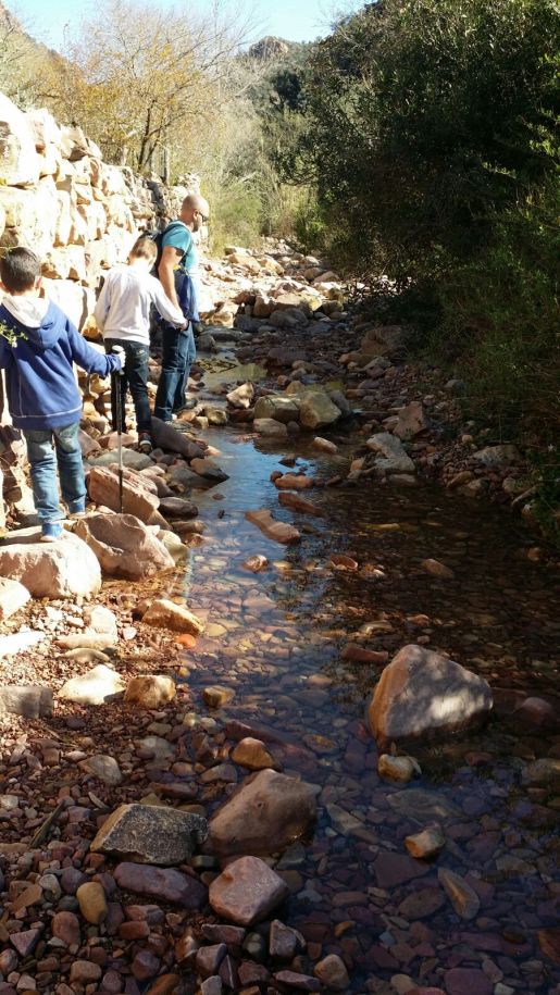 WhatsApp Image 2017-03-23 at 19.03.34