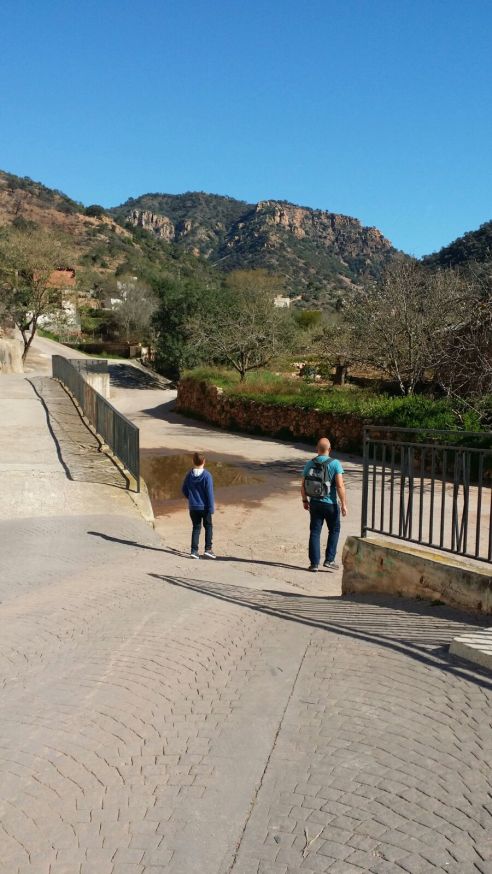 WhatsApp Image 2017-03-23 at 19.03.36.jpeg