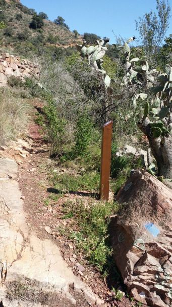 WhatsApp Image 2017-03-23 at 19.15.34