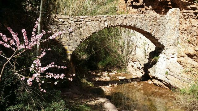 WhatsApp Image 2017-03-23 at 19.17.47.jpeg