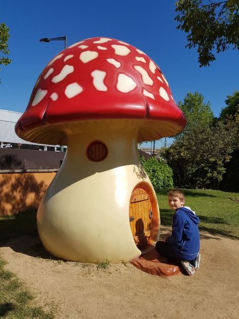 WhatsApp Image 2017-06-04 at 11.37.17.jpeg